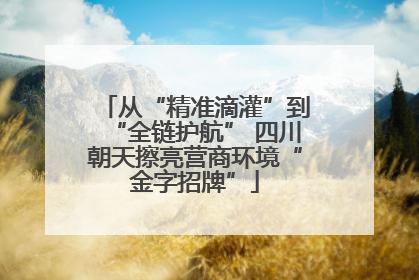 从“精准滴灌”到“全链护航” 四川朝天擦亮营商环境“金字招牌”
