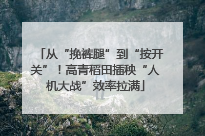 从“挽裤腿”到“按开关”！高青稻田插秧“人机大战”效率拉满