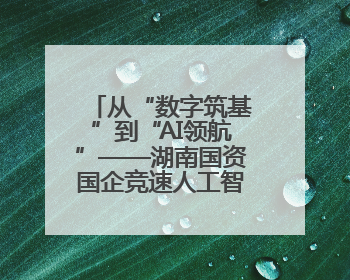 从“数字筑基”到“AI领航”——湖南国资国企竞速人工智能新赛道