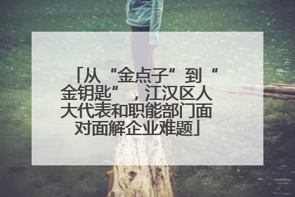 从“金点子”到“金钥匙”，江汉区人大代表和职能部门面对面解企业难题