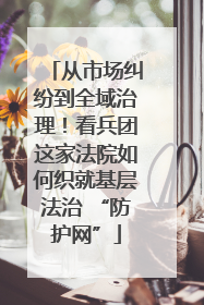 从市场纠纷到全域治理！看兵团这家法院如何织就基层法治 “防护网”