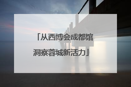 从西博会成都馆洞察蓉城新活力