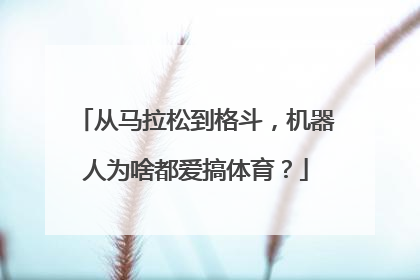 从马拉松到格斗，机器人为啥都爱搞体育？