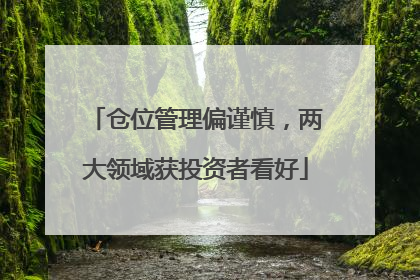 仓位管理偏谨慎，两大领域获投资者看好