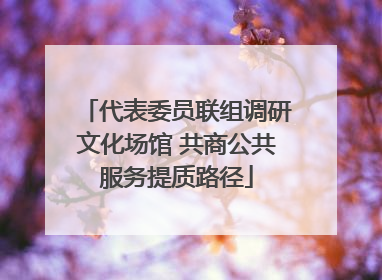代表委员联组调研文化场馆 共商公共服务提质路径