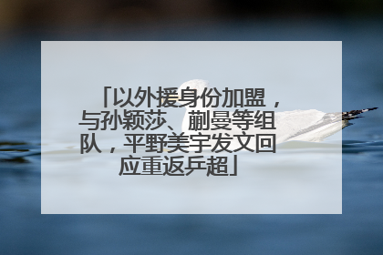 以外援身份加盟，与孙颖莎、蒯曼等组队，平野美宇发文回应重返乒超