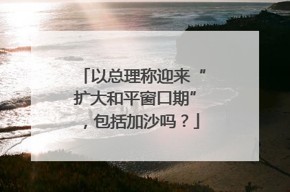 以总理称迎来“扩大和平窗口期”，包括加沙吗？