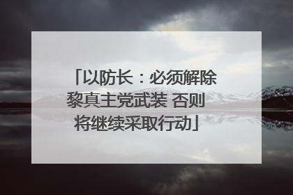 以防长：必须解除黎真主党武装 否则将继续采取行动