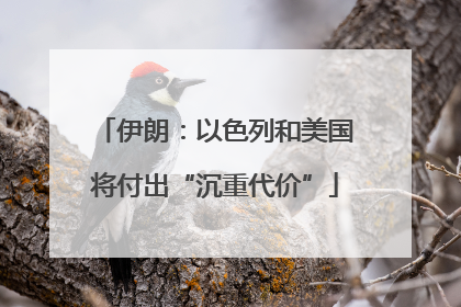 伊朗：以色列和美国将付出“沉重代价”