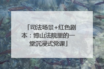 司法场景+红色剧本：博山法院里的一堂沉浸式党课
