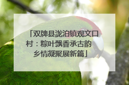 双牌县泷泊镇观文口村：粽叶飘香承古韵 乡情凝聚展新篇
