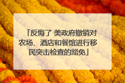 反悔了 美政府撤销对农场、酒店和餐馆进行移民突击检查的豁免