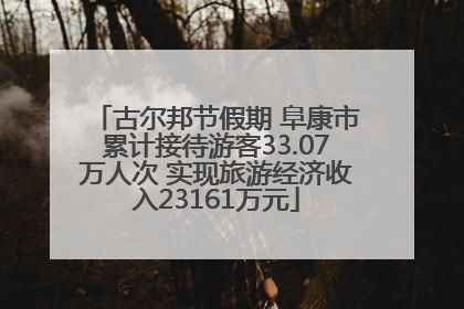 古尔邦节假期 阜康市累计接待游客33.07万人次 实现旅游经济收入23161万元