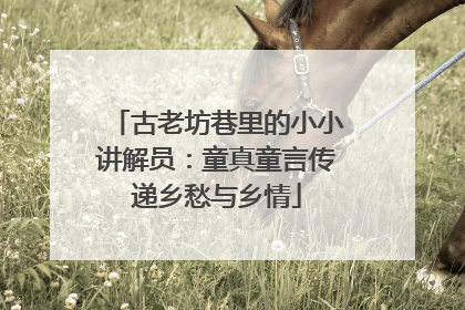 古老坊巷里的小小讲解员：童真童言传递乡愁与乡情