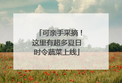 可亲手采摘！这里有超多夏日时令蔬菜上线