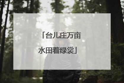 台儿庄万亩水田着绿裳