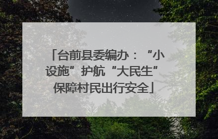 台前县委编办：“小设施”护航“大民生” 保障村民出行安全