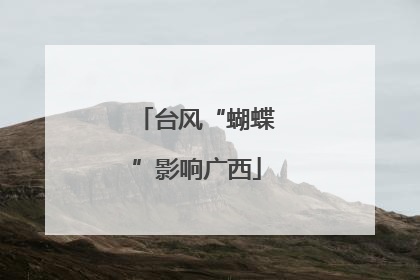 台风“蝴蝶”影响广西