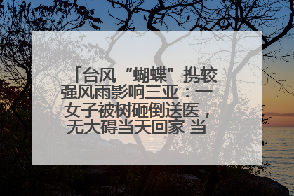 台风“蝴蝶”携较强风雨影响三亚：一女子被树砸倒送医，无大碍当天回家 当地已紧急清障