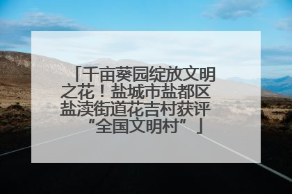 千亩葵园绽放文明之花！盐城市盐都区盐渎街道花吉村获评“全国文明村”
