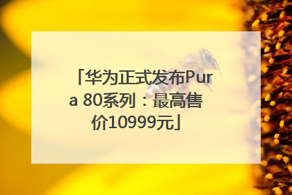 华为正式发布Pura 80系列：最高售价10999元