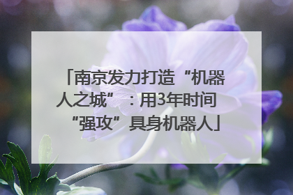 南京发力打造“机器人之城”：用3年时间“强攻”具身机器人