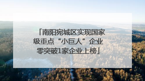 南阳宛城区实现国家级重点“小巨人”企业零突破1家企业上榜
