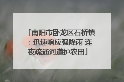 南阳市卧龙区石桥镇：迅速响应强降雨 连夜疏通河道护农田