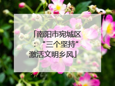 南阳市宛城区：“三个坚持”激活文明乡风