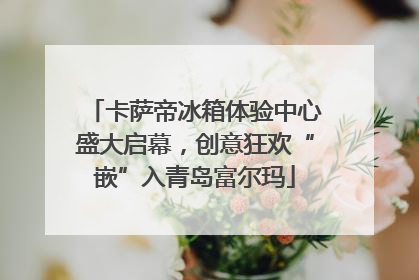 卡萨帝冰箱体验中心盛大启幕，创意狂欢“嵌”入青岛富尔玛