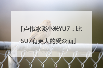 卢伟冰谈小米YU7：比SU7有更大的受众面