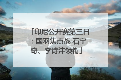 印尼公开赛第三日：国羽焦点战 石宇奇、李诗沣领衔