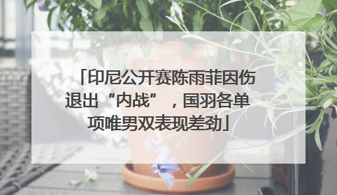 印尼公开赛陈雨菲因伤退出“内战”，国羽各单项唯男双表现差劲