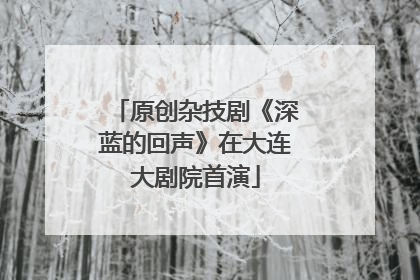 原创杂技剧《深蓝的回声》在大连大剧院首演