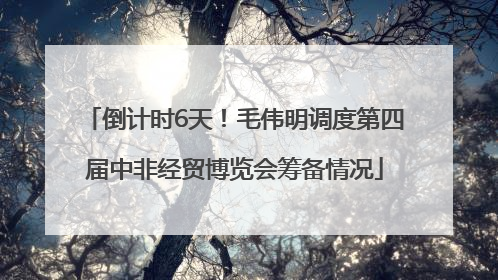 倒计时6天！毛伟明调度第四届中非经贸博览会筹备情况