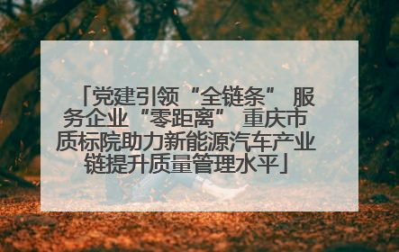 党建引领“全链条” 服务企业“零距离” 重庆市质标院助力新能源汽车产业链提升质量管理水平