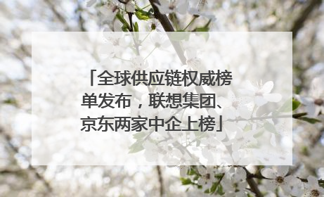 全球供应链权威榜单发布，联想集团、京东两家中企上榜
