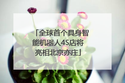全球首个具身智能机器人4S店将亮相北京亦庄