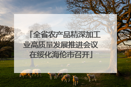 全省农产品精深加工业高质量发展推进会议在绥化海伦市召开