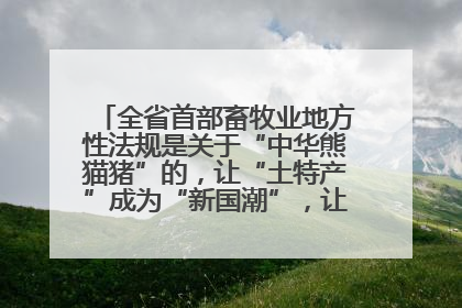 全省首部畜牧业地方性法规是关于“中华熊猫猪”的，让“土特产”成为“新国潮”，让“农产品”升格为“城市IP”