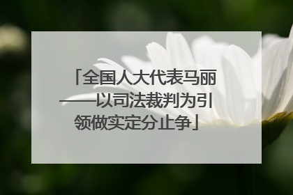 全国人大代表马丽——以司法裁判为引领做实定分止争