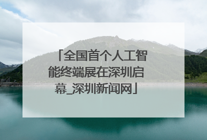全国首个人工智能终端展在深圳启幕_深圳新闻网