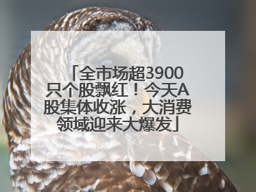 全市场超3900只个股飘红！今天A股集体收涨，大消费领域迎来大爆发