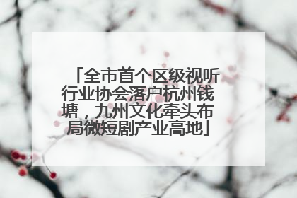 全市首个区级视听行业协会落户杭州钱塘，九州文化牵头布局微短剧产业高地