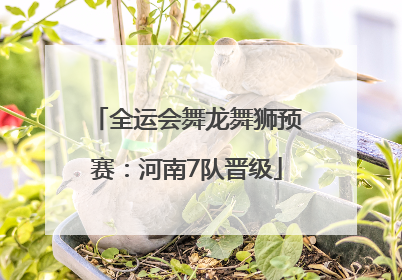 全运会舞龙舞狮预赛：河南7队晋级