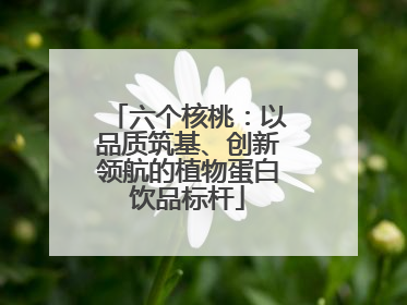 六个核桃：以品质筑基、创新领航的植物蛋白饮品标杆