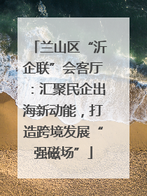 兰山区“沂企联”会客厅：汇聚民企出海新动能，打造跨境发展“强磁场”