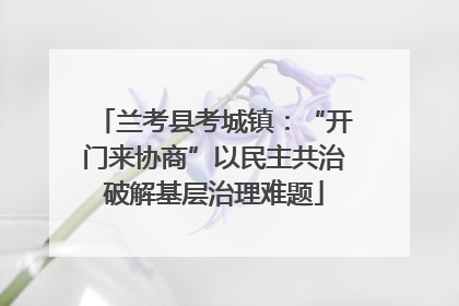 兰考县考城镇：“开门来协商”以民主共治破解基层治理难题