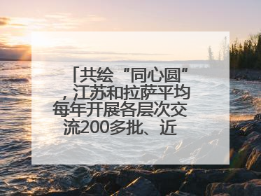 共绘“同心圆”，江苏和拉萨平均每年开展各层次交流200多批、近2000人次
