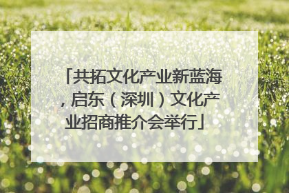 共拓文化产业新蓝海，启东（深圳）文化产业招商推介会举行